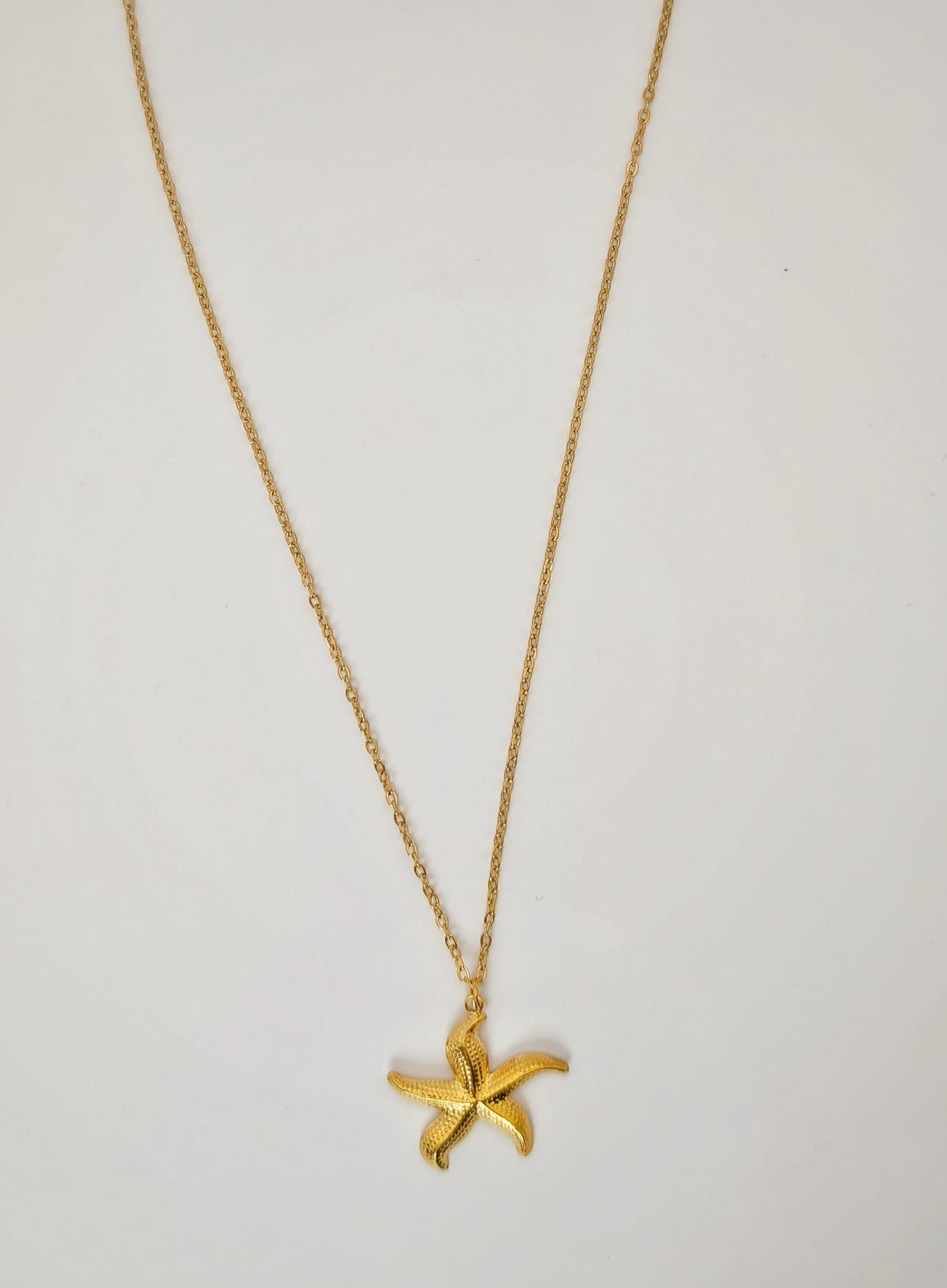 Estrella Salina / Sea Star