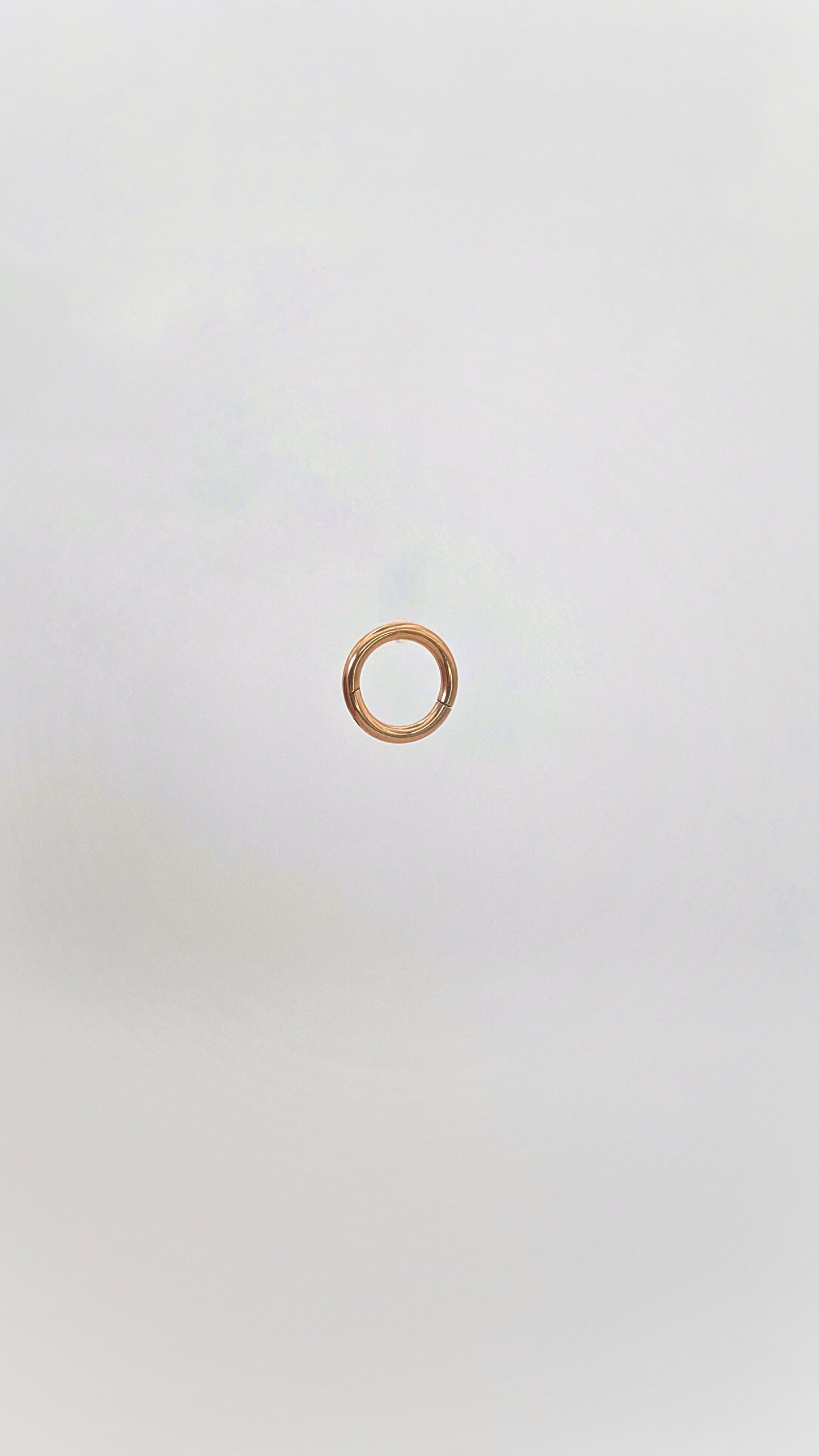 Titanium - Rose Gold Hoop Earring
