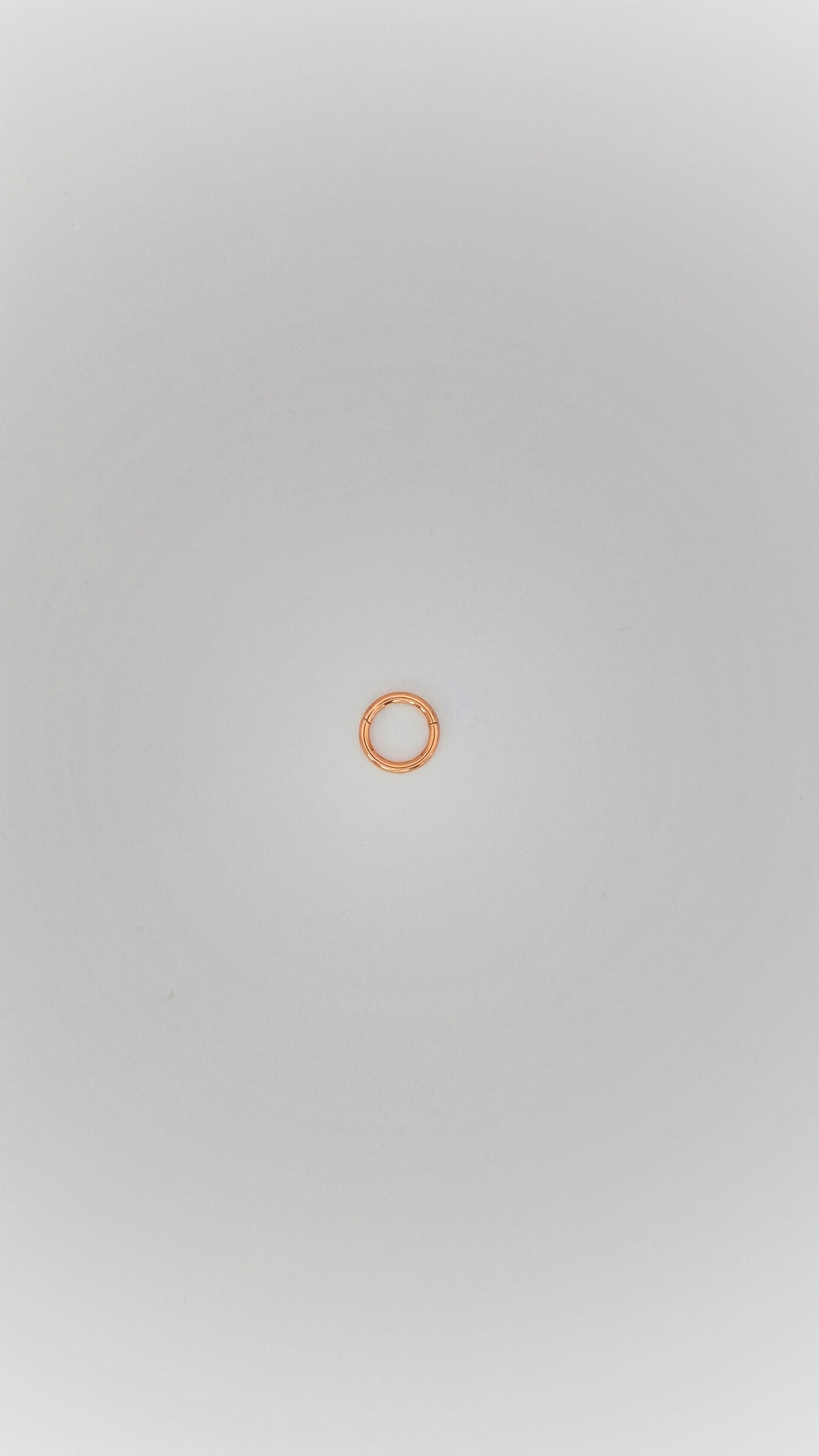 Titanium - Rose Gold Hoop Earring