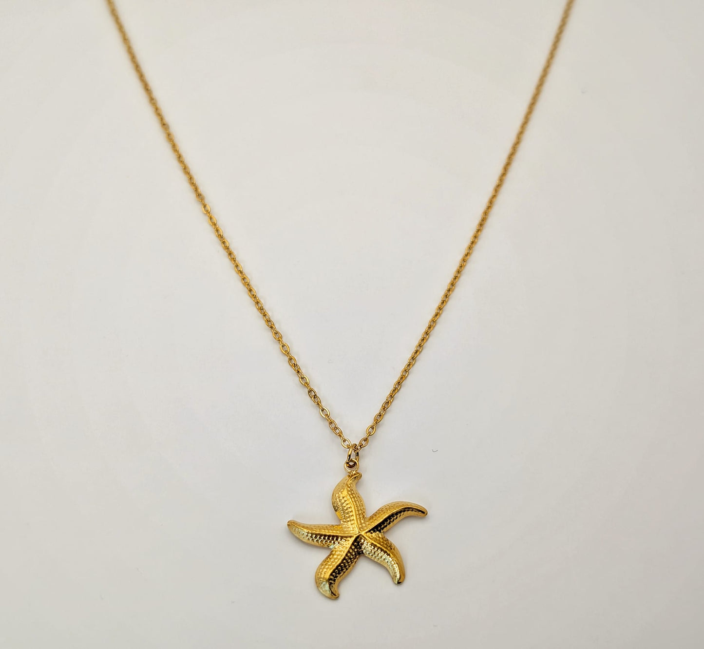 Estrella Salina / Sea Star