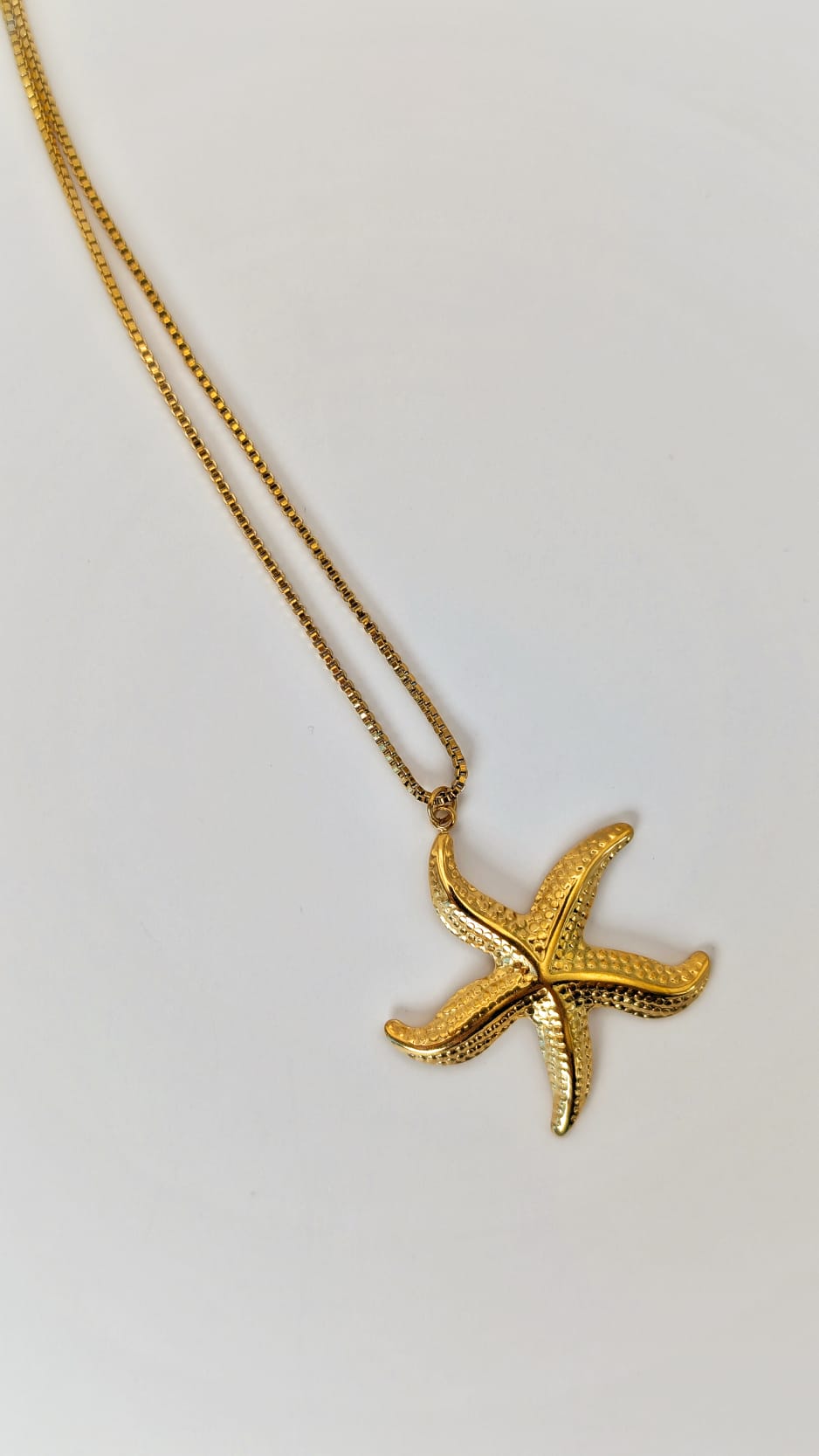 Coral de Estrella / Celestial Coral