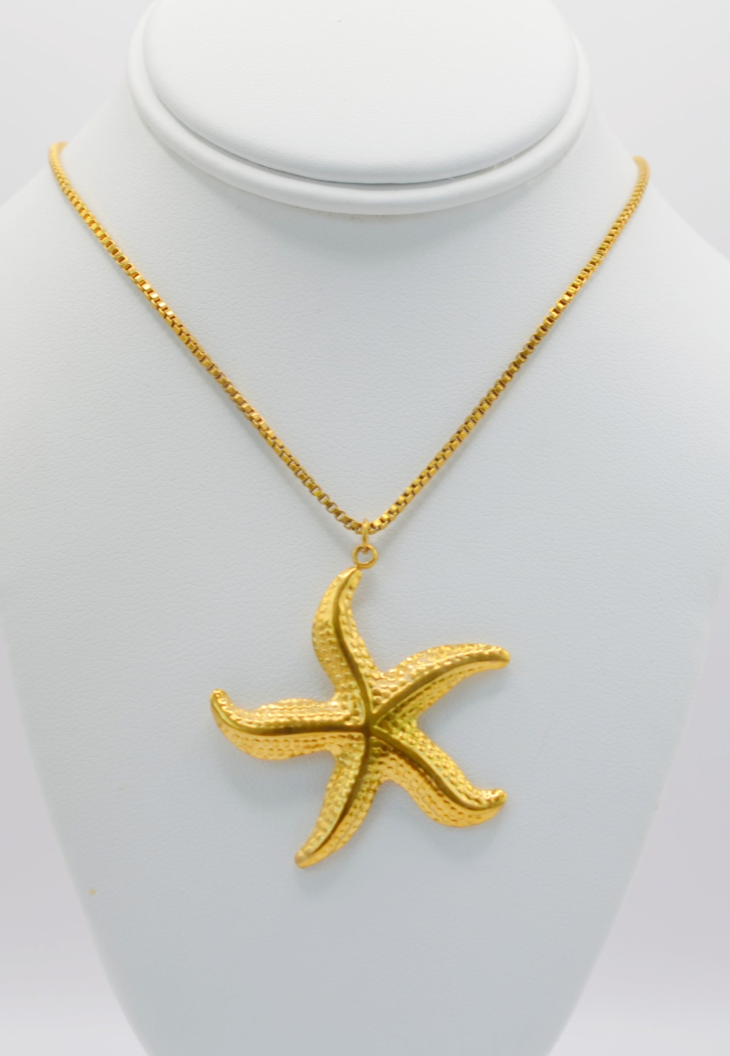 Coral de Estrella / Celestial Coral