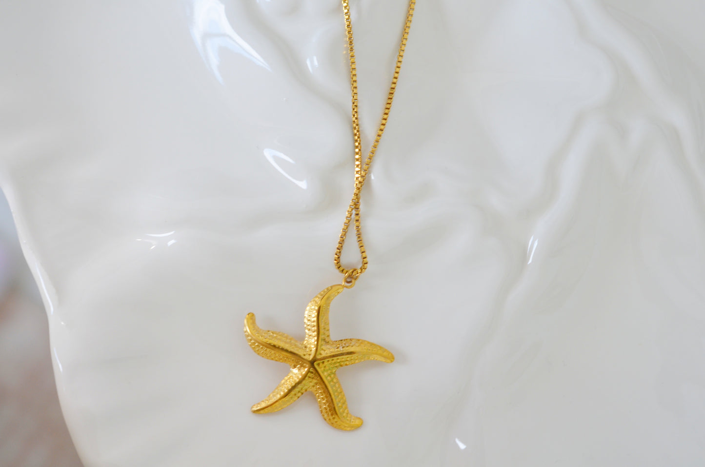 Coral de Estrella / Celestial Coral