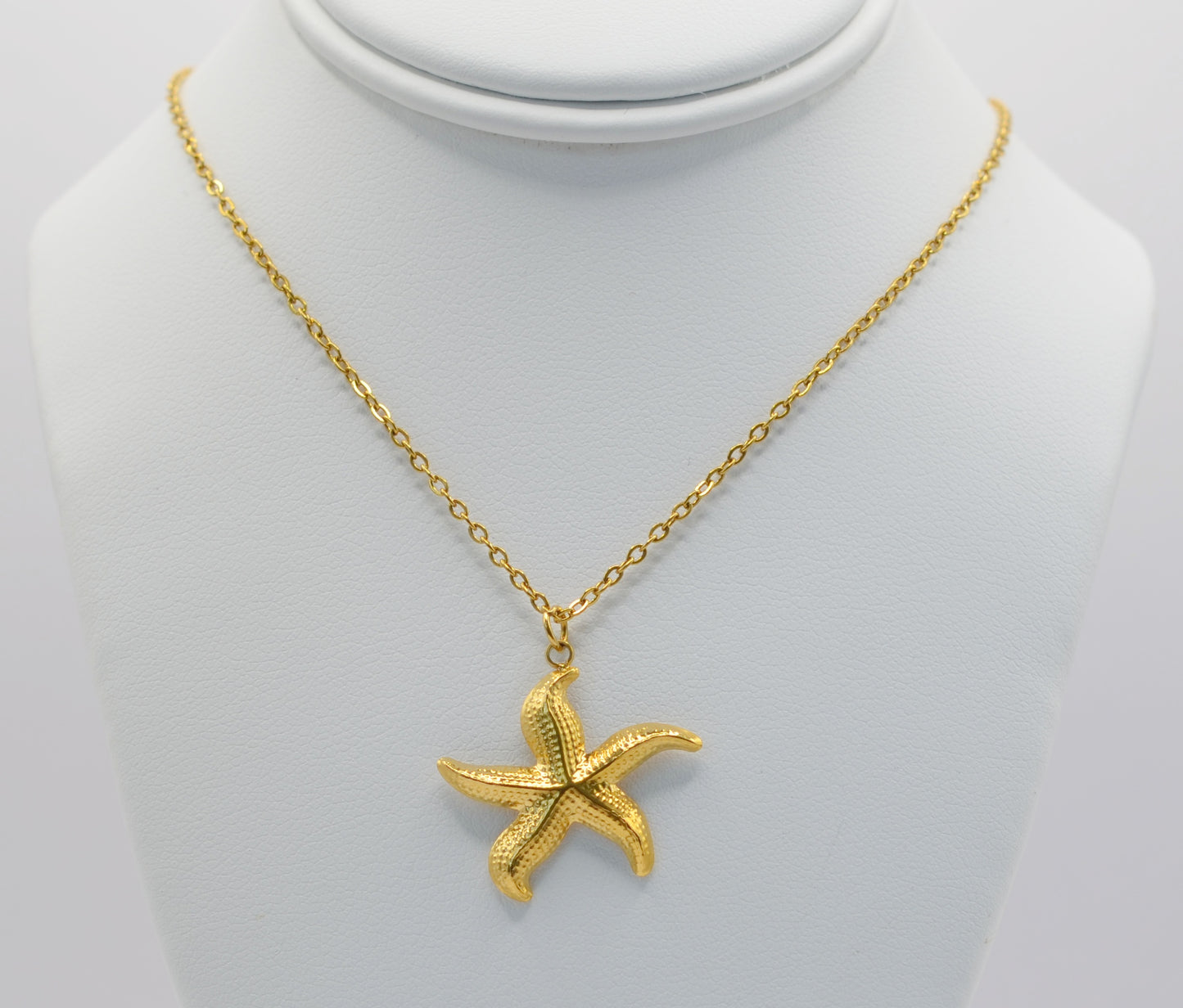 Estrella Salina / Sea Star