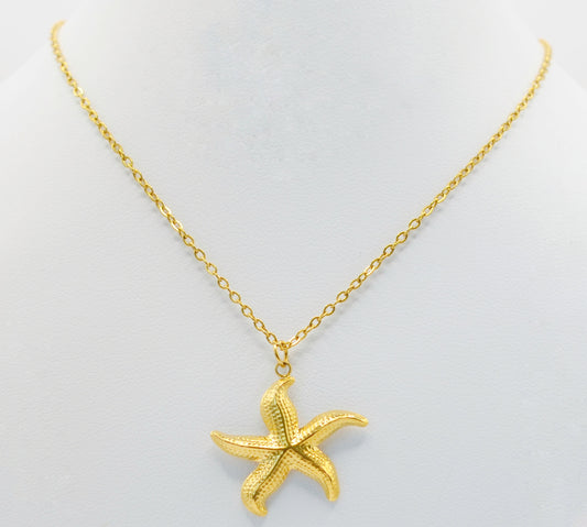 Estrella Salina / Sea Star