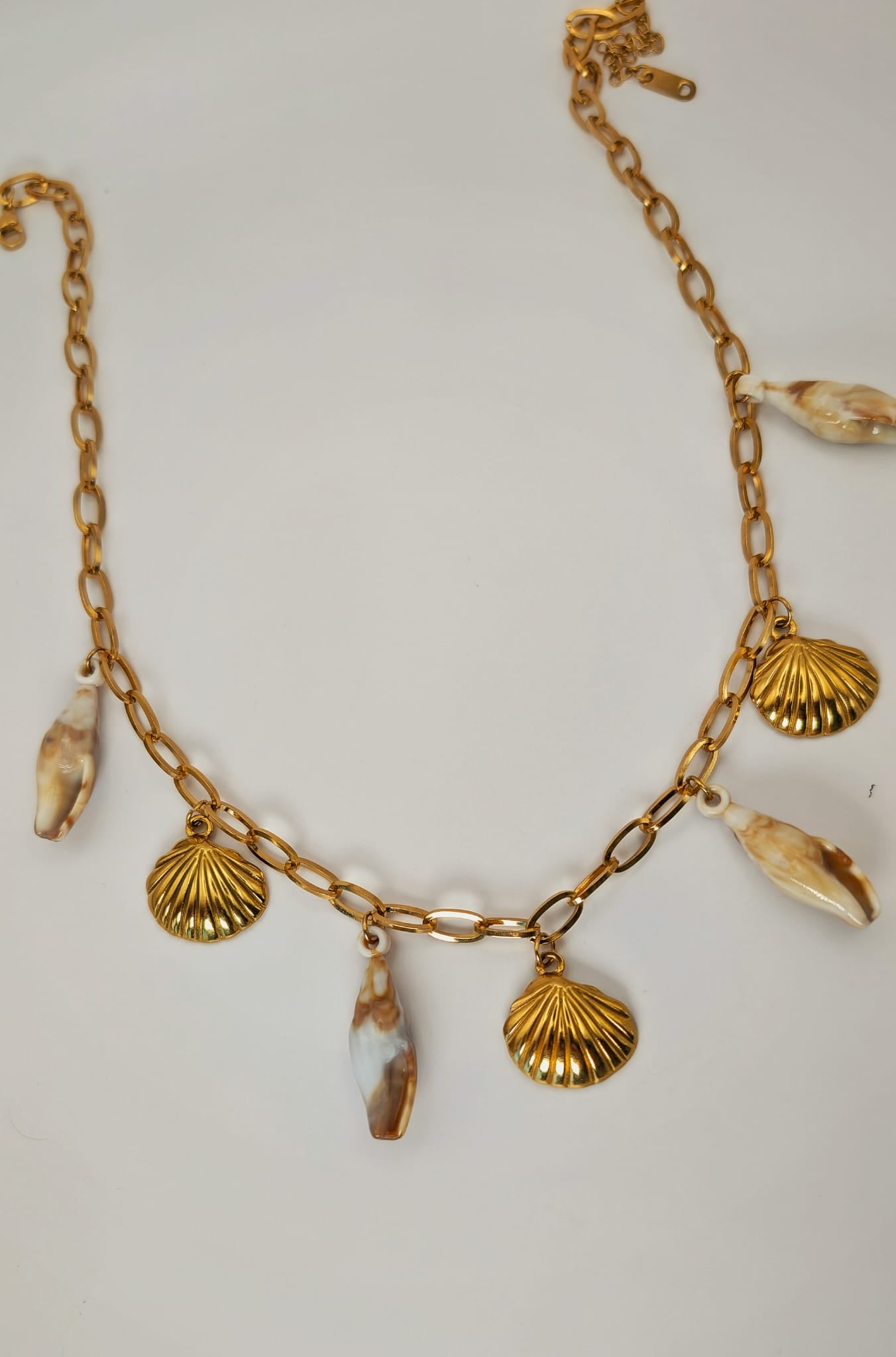 Brisa de Coral / Ocean Breeze Coral