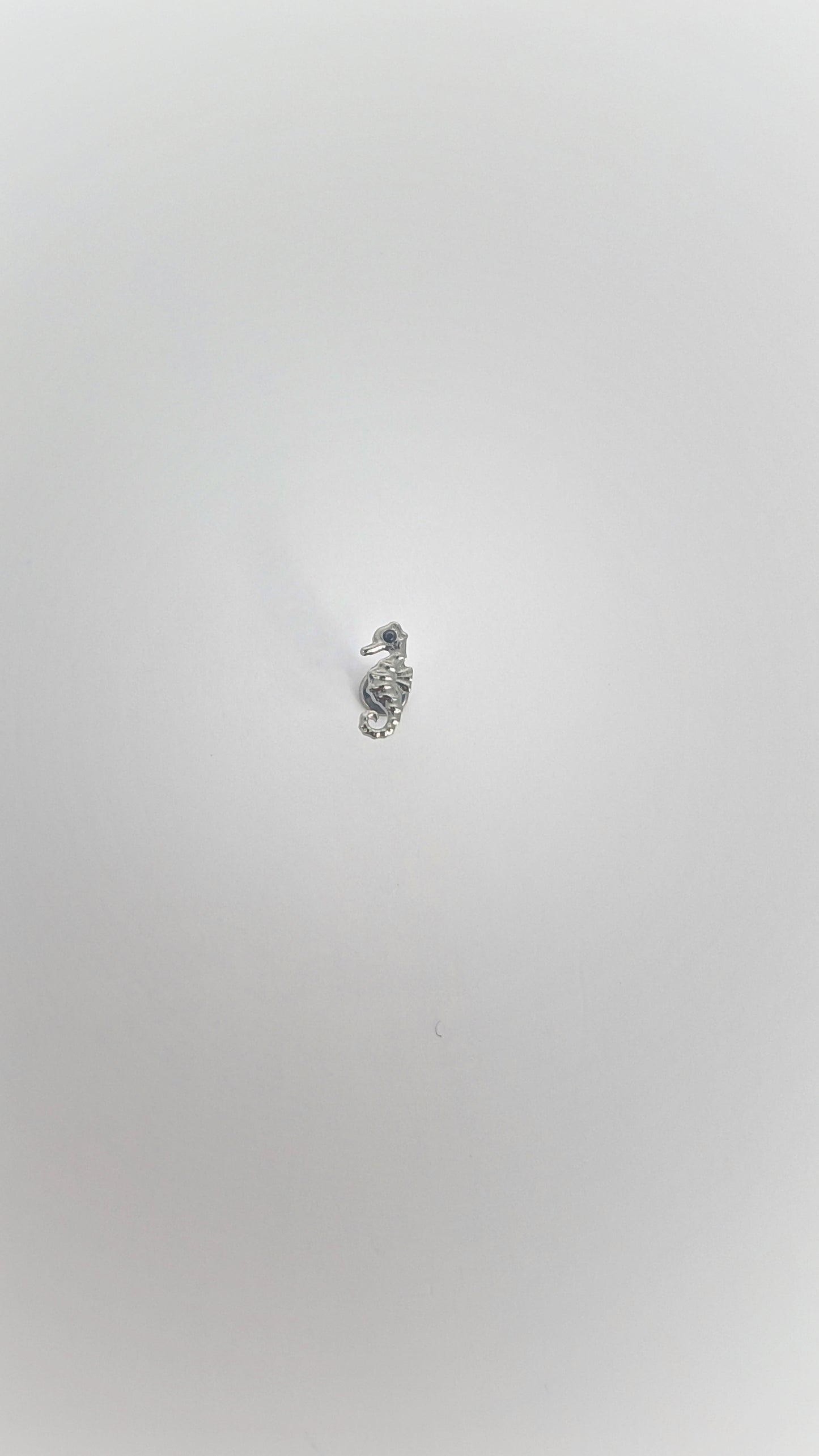 Titanium Seahorse Piercing