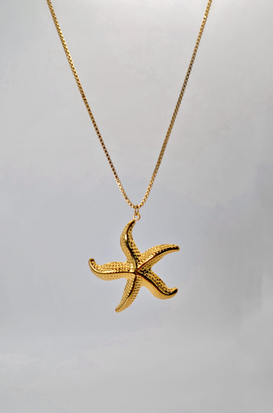 Coral de Estrella / Celestial Coral