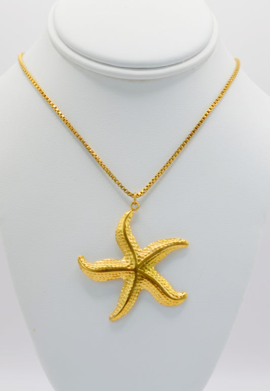 Coral de Estrella / Celestial Coral