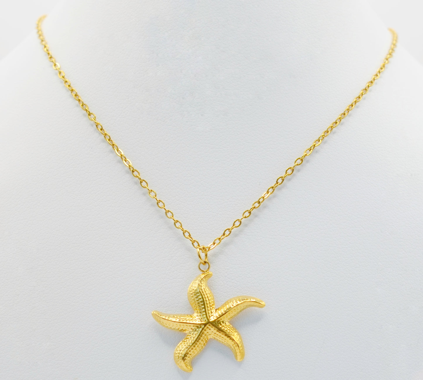 Estrella Salina / Sea Star