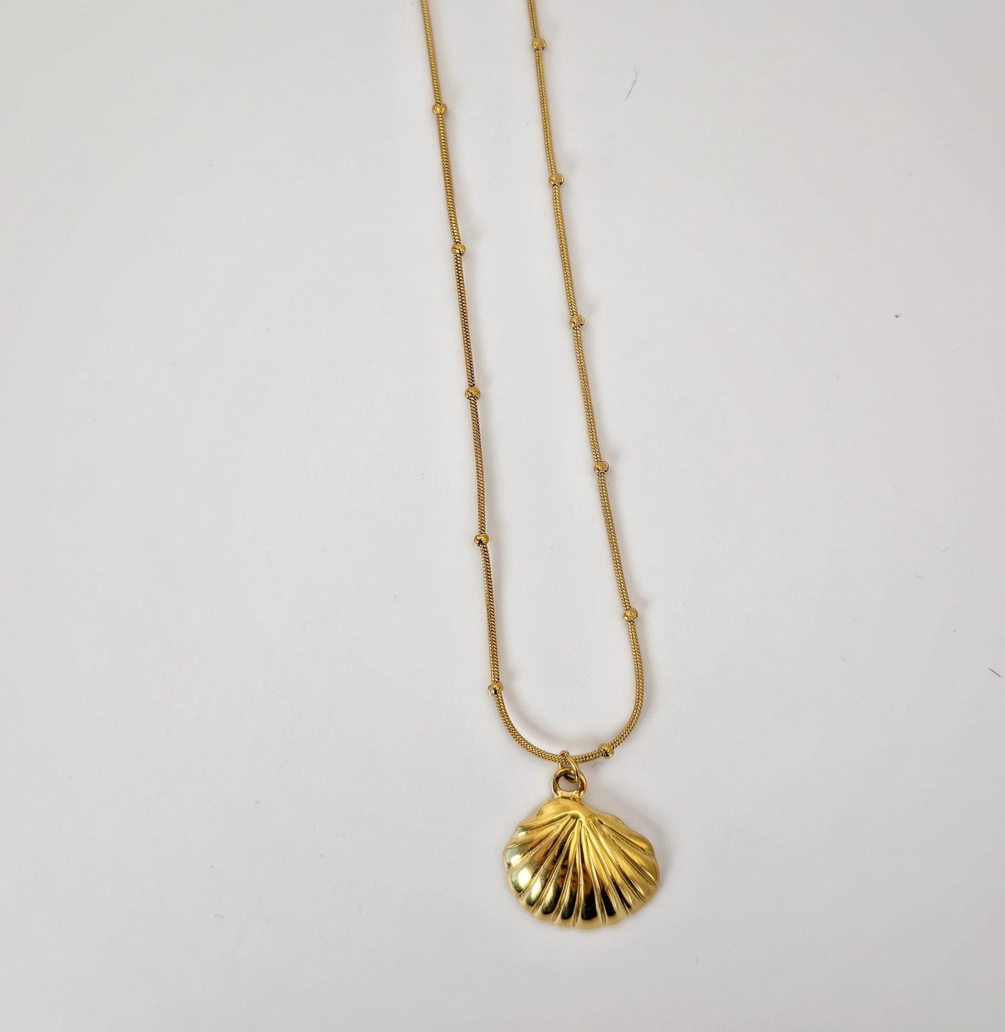 Alma Oceanica / Ocean Soul 🌊