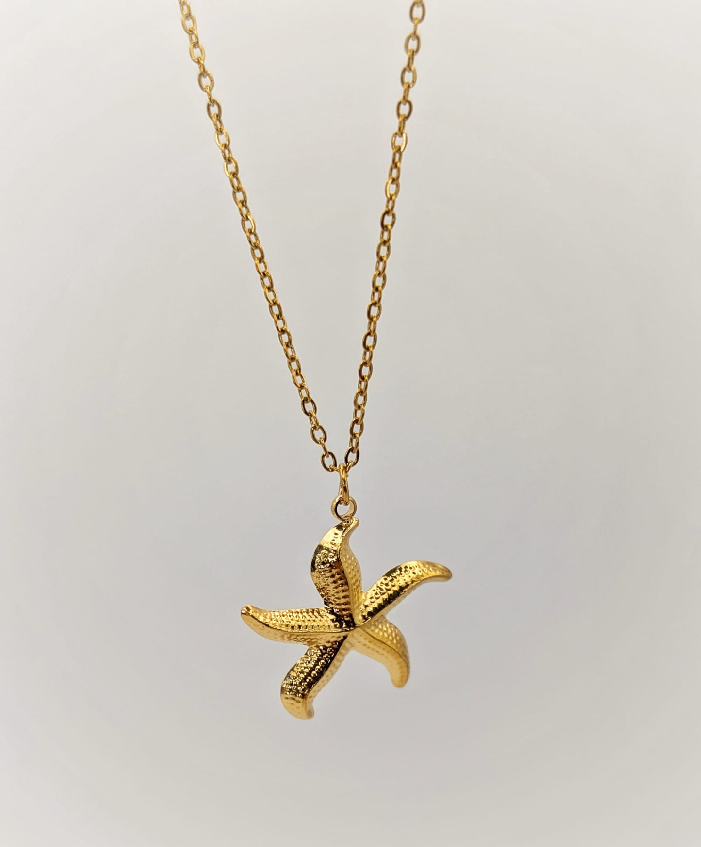 Estrella Salina / Sea Star