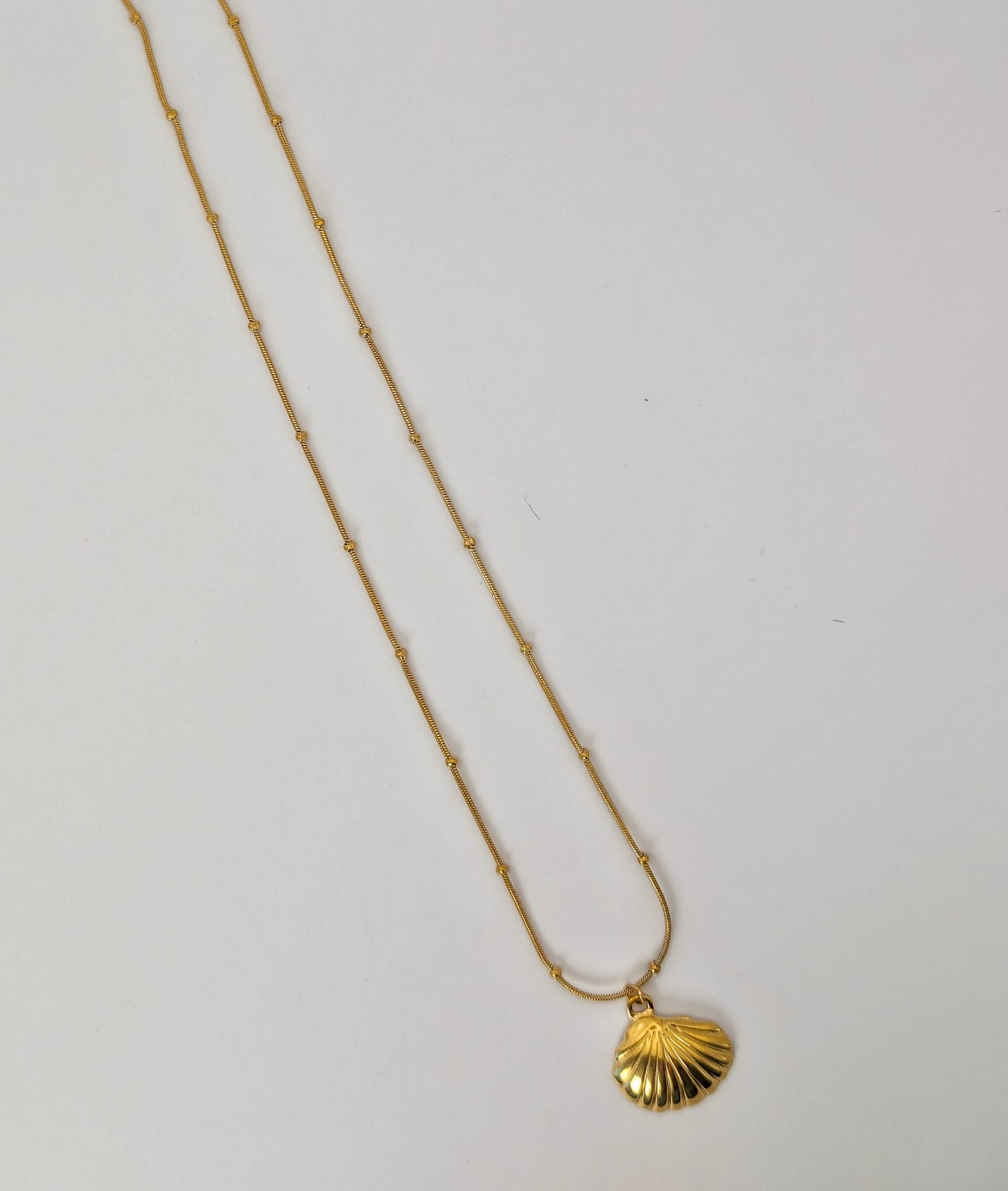 Alma Oceanica / Ocean Soul 🌊